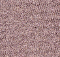 Ковровая плитка Tessera Chroma 3622 Wisteria фото 1 | FLOORDEALER